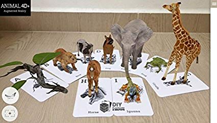 4D Animal Flashcard